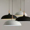 Pendelleuchten Minimalistische Lichter Nordic Aluminium Lampenschirm LED Kronleuchter für Kunst Mode Dekor Leuchte Restaurant Hängelampe