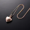 ijd9896 Feather Heart Cremation Urn Pendant Necklace Pet Human Urn Memorial Jewelry Funeral Urn Casket Gold Rose Gold Color Jewelr33y