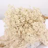 Flores decorativas naturais respiração do bebê seco preservado gypsophila paniculata buquês de flores para presente dos namorados festa de casamento decoração