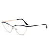 Solglasögonramar YH5660 Fashion Metal Cat Eye Anti-Blue Light Plat Glasses Frame For Women Korean Face Display Small Can Match Myopia