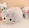 4 kleuren 25 cm Cartoon kat pluche pop leuke ronde ogen knuffel dutje Kussen Kitten Sofa Kussen Slaap pop kinderen speelgoed cadeau