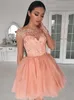 Nuovi abiti rosa a maniche lunghe in tulle dolce 16 Abiti da cocktail Party Applique in pizzo Mini abiti corti da ritorno a casa Abiti da cocktail