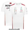 Hochwertiges F1-Renn-T-Shirt, neues Team-Poloshirt, gleiche Stilanpassung