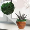 Fiori decorativi Accessori realistici Muschio artificiale Piante di lichene verde Giardino Patio Artigianato Supporti per esterni per la decorazione