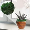 Flores decorativas acessórios realistas musgo artificial verde líquen plantas jardim pátio artesanato suportes ao ar livre para decoração