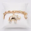 Collana orecchini set moda placcato oro 18 carati simbolo di potere elefante gioielli da donna quattro pezzi