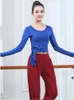 Stage Wear Couleur unie Costume de danse latine Femmes Ventre Tops Manches longues Sports Tango T-shirt Jazz Irregular Dancewear Femme Vêtements