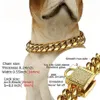 14mm Dog Collar Gold Color Stainless Steel Pet Chain Necklace Pet Supplies Canoidea Rhinestone Lock High Polished10-24Inch240N