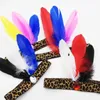 Leopard Feather Beadbiece Headpiece Indian Cosplay Costume Cleardress Women Men Men Party Adevial ​​Adevial ​​Props Props Accessories