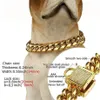 14mm Dog Collar Gold Color Stainless Steel Pet Chain Necklace Pet Supplies Canoidea Rhinestone Lock High Polished10-24Inch240N