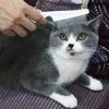 Gato Suministros de aseo para perros Mascotas Peines para pulgas Diente fino Aguja de acero inoxidable Peine para el cabello Desparasitación Captura de piojos Rejilla Cuidado de animales JY1222