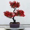 Decorative Flowers Artificial Potted Bonsai Tree Indoor Dining Table Decoration Display Faux Plastic Realistic Simulation Fake Plants House