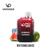 新しいデザインVapanda VP Pro 13000 Puffs 12000使い捨てベイプボックスEタバコ650mah充電式バッテリー23mlプレフィル済みパフ12kメッシュコイルパフバーバングボックスキングバー2％