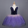 Stage Wear Jupe de ballet professionnelle pour enfants Vêtements de performance Étudiant Danse moderne Longue gaze Filles Fluffy Ga