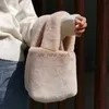 Totes Fashion Winter Wind Women Buckte Bag Baux Fur Ladies Маленькая повседневная сумка для плеч роскошные дизайнерские сумочки для кошелька для кошелька