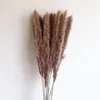 Flores decorativas Pampas Grass Decoración Alto Seco Imitación Esponjoso Blanco Para Arreglos De Boda En Casa