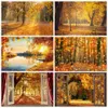 Hintergrundmaterial Herbst Wald Sonnenschein Natur Landschaft Hintergrund für Fotografie Herbst Ahorn Blätter Baum Bauernhof Baby Porträt Foto Hintergrund Dekor YQ231003