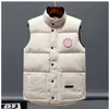 Gilet de créateur canadien pour hommes, sweat-shirt, plusieurs styles, manteau ample authentique, tendance, plume d'oie, haute rue