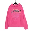 Spider Hoodie Designer Herren 555 Sp5der Sweatshirt Mann Pullover Young Thug 555555 Hoodies Luxus Damen Pink Spider Jacke Sweatshirt Spiders 555 Spider Hoodie 3a