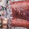 Background Material 2Pcs Sequin Backdrop Decor Curtain 2m Foil Tinsel Curtain Baby Shower Birthday Party Decor Shimmer Wall Wedding Party Backdrops YQ231003