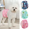 Dog Apparel Pet Menstrual Pants Cute Cartoon Patterns Diapers Reusable High Absorbency Physiological Supply