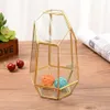 Jewelry Pouches Bags Indoor Tabletop Irregular Glass Geometric Air Plants Terrarium Box Desktop Display Planter Succulent Holder 301i