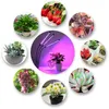 Free Shipping led plant light, 5V 10W 40W LED Grow Light USB with Desktop Clip for Indoor plants Seedlings Flower Grow Tent Box Led Full Spectrum Phyto Lamp