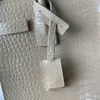 Top Sac de Jour Bag Nano geprägtes Krokodil glänzender Lederbeutel mit röhrenförmigen Griffen kleine Handtasche oxidierte Nickelhardware -Tasche Frauen Männer Messing Füße Geldbeutel 23