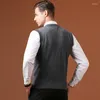 Pulls pour hommes Automne Slim Pulls tricotés Hommes Col V Sans manches Formel Business Pull Homme Casual Solid Gilet