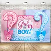 Background Material Ggender Reveal Backdrop Photocall Mermaid Party Banner Background Butterfly Happpy Birthday Pary Decor Kids Boy Girl Baby Shower YQ231003