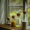 Bottiglie di stoccaggio in stile barattolo di vetro decorativo per bottiglie con tappo a sfera in sughero per la cucina
