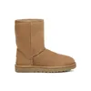 Femmes Tasman Ugge Bottes Australie Pantoufles Tazz Classique Ultra Mini Plate-forme en peau de mouton Shearling Botte de neige Diapositives en fourrure Daim Laine Bottines de créateurs de cheville d'hiver