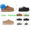 F23 Tazz Tasman Slippers Kastanjebont Slippers Schapenvacht Shearling Nieuwe Muiltjes Dames Heren Ultra Mini Platform Laars Slip-on Schoenen Suède Bovenwerk Herfst Winter