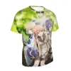 Men's Casual Shirts Kakkou No Iinazuke A Couple Of Cuckoos Fiancee T Shirt Cosplay Anime Men Kawaii Japanese Customized Tshir283E