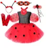 Särskilda tillfällen Spots Lady Beetle Fairy Costumes For Girls Kids Halloween Tutu Dress With Wings Set Sunflower Princess Birthday Dresses Outfits X1004