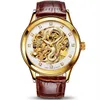 Aesop Dragon Watch Mężczyzna luksusowe złoto automatyczny mechaniczny zegarek mechaniczny szafir złotych męskich zegarów mężczyzn mężczyzn Mężczyzna renogio Masculi256x