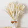 Decorative Flowers 70Pcs Set White Natural Dried Pampas Grass Reed Tail Gras Perfect For Home Decor Boho And Wedding Flower