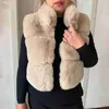 Pelliccia sintetica delle donne 2023 nuove donne gilet di pelliccia sintetica corto più colletto alla coreana moda autunno-inverno gilet di pelliccia da donna soffice giacca di pelliccia artificiale T231003