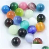 أحجار الأحجار الكريمة فضفاضة Cat Eye Natural Crystal Gemstone Beads 20pcs/Box حبة سحر مختلفة لمجوهرات صنع قطرة تسليم DHSZF