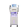 Meilleure vente multifonction Microdermabrasion Machine de soins de la peau du visage Hydra diamant Machine de Microdermabrasion grand écran