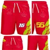 2023 새로운 F1 남자 여름 반바지 포뮬러 1 팀 경주 퀵 드라이 스포츠 반바지 플러스 크기 헐렁한 스웨트 셔트 남성 넓은 바지 바지