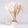 Fiori decorativi 70 pezzi / set bianco naturale essiccato pampa erba coda di canna perfetta per la decorazione domestica Boho e fiori nuziali