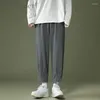 Pantaloni da uomo Foufurieux Baggy Casual 2023SS Leggings in seta di ghiaccio Pantaloni sportivi Trend Haren Pantaloni cargo sportivi oversize a gamba dritta