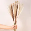 Flores decorativas 1 conjunto natural seco reed grama artificial planta seca casa buquê de casamento festa decoração de natal plantas flor falsa