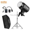 Flash Heads Godox E250 250WS Photography Studio Flash Strobe Light + 50 X 70cm Gird Softbox + 180cm Stand + AT-16 Trigger Kit Kit YQ231003