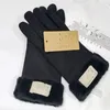 Europese en Amerikaanse handschoenen dames herfst winter touchscreen met pluche en verdikte warme handschoenen261E