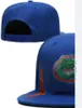 2023 Tüm Team Fan's USA Kolej Beyzbol Ayarlanabilir Gators Şapkası Tarla Karışımı Sipariş Boyutu Kapalı Düz ​​Fatura Baskı Snapback Caps Bone Chapeau