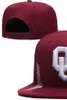 2023 All Team Fan's USA College Baseball Adjustable Badgers Hat On Field Mix Order Size Closed Flat Bill Base Ball Snapback Caps Bone Chapeau