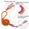 Dog Collars Leashes Pet Products Leash nylon Reflective Puppy Rope Cat Chihuahua and Collar Set Lead Harness 230928