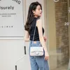 Bolso de diseñador Bolso pequeño con bandolera, bolso de mano, bandolera cruzada para mujer, bolso informal de verano con cadena para mujer, bolso de diseñador para axila dulce